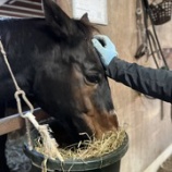 『マッサージ』の画像