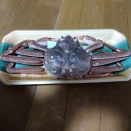 大ズワイガニを食す