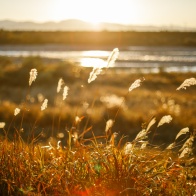 夕日と北アルプス