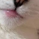 アイちゃんに異常が
