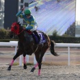 ミモザノキセツ（25/12/30・第29回 ライデンリーダー記念・笠松競馬場）