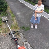『憧れの…』の画像