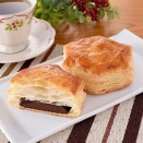 代表引退するイタリア・サトリア