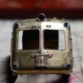 アオガエル 其の4