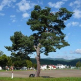 『まだまだ上川町方面はつづきます』の画像
