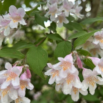 誰にでも、人前では言えない願いがある。