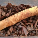 【グラシロ】♀☆…