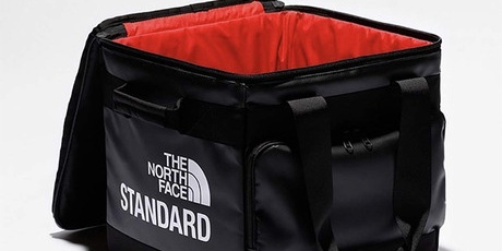 the north face standard record bag