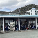 『河津桜』見物から『舟戸の番屋』へ